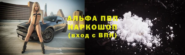 амф Балахна