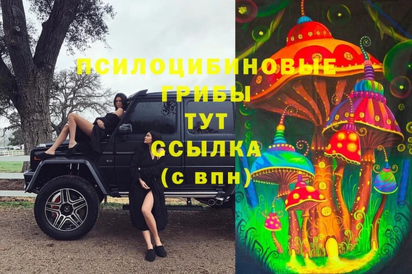 PSILOCYBIN Аркадак