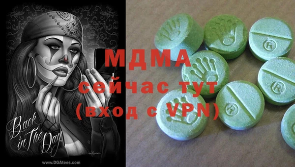PSILOCYBIN Аркадак