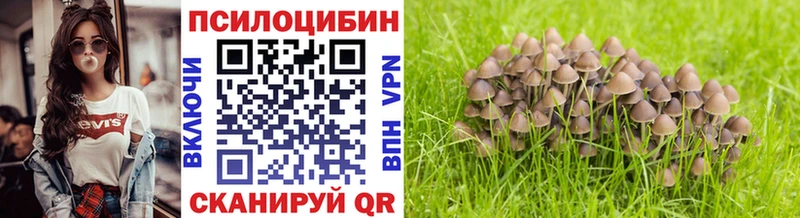 Псилоцибиновые грибы Psilocybe  hydra онион  Нязепетровск 